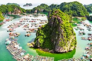 corporate vietnam tour