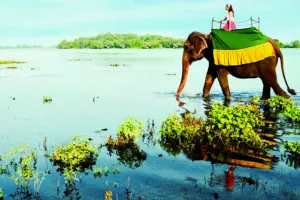 discover sri lanka tour