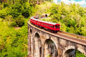fascinating sri lanka tour